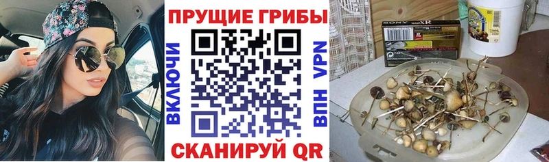 Галлюциногенные грибы Magic Shrooms  Льгов 